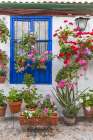 Centro District, Cordoba, Andalusia, Spain. Courtyard garden of a home Art Print